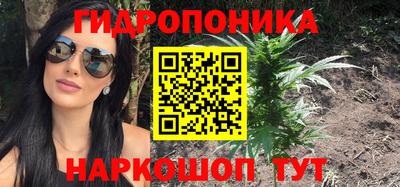 трава Абакан
